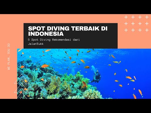 Video: Tempat Terbaik untuk Menyelam di Tebing di AS