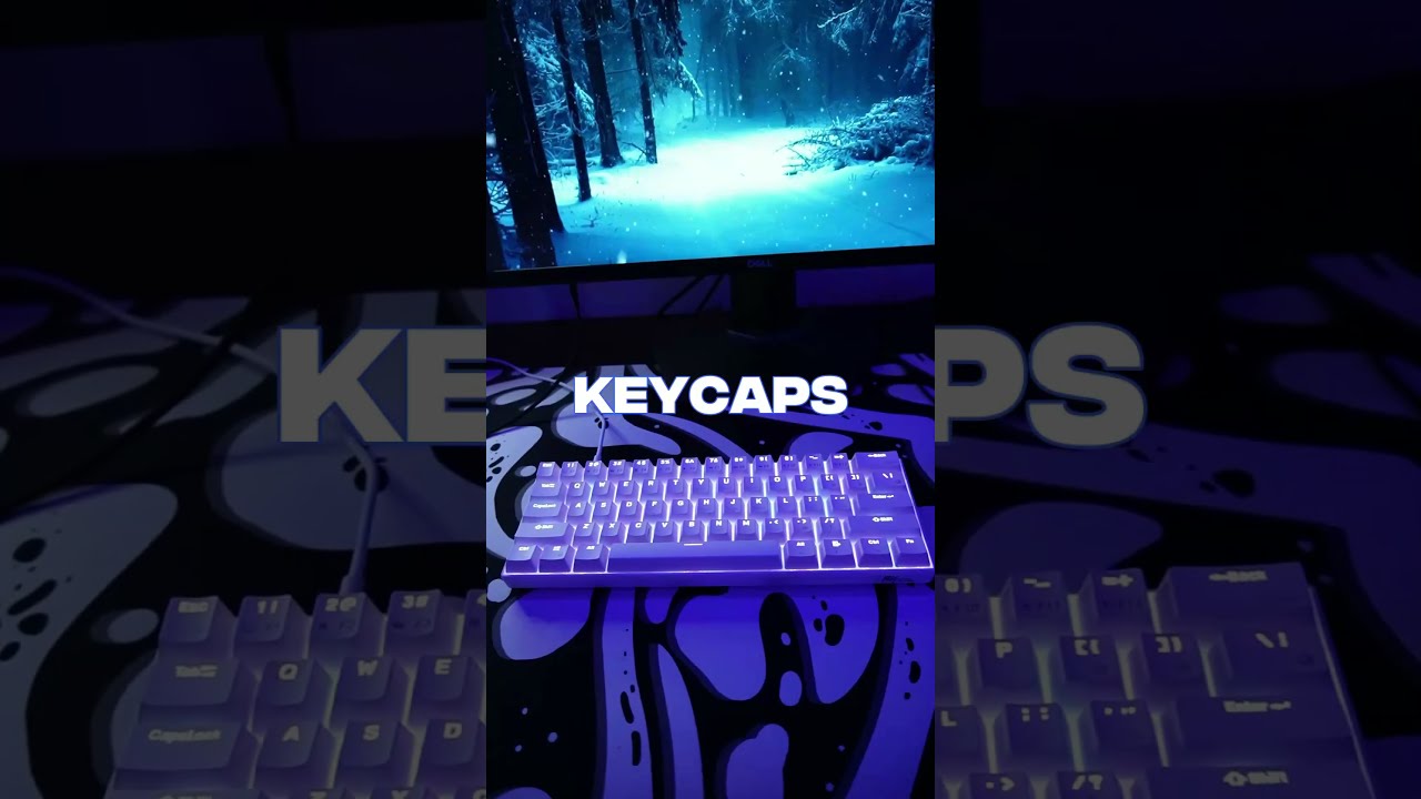 This Is The Best Budget Keyboard Shorts