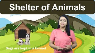 Shelter Of Animals, Class 2, Science