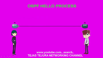 OSPF Hello Process