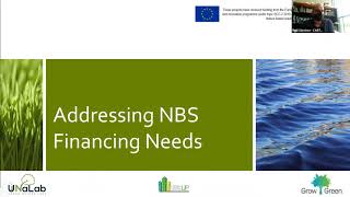 Nature & the city: Finance/procurement of nature-based solutions for urban climate change adaptation screenshot 2