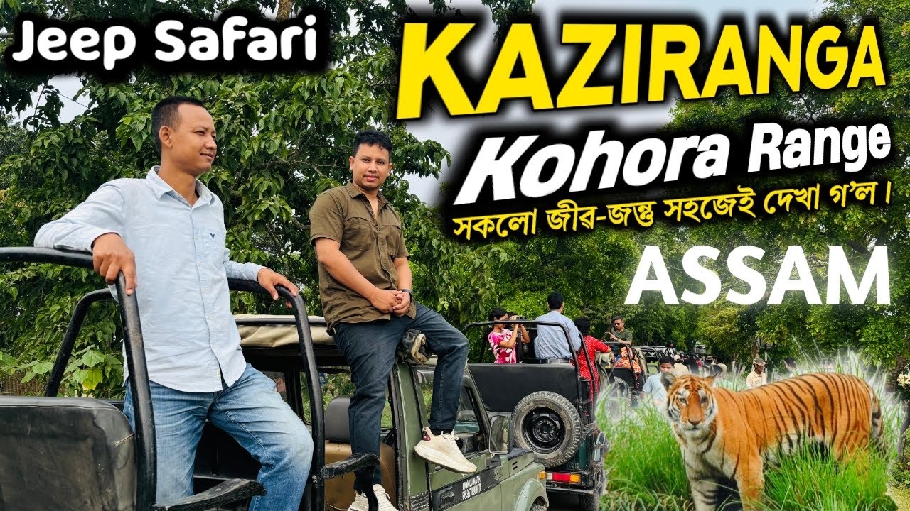 kaziranga kohora range Jeep Safari Video😍 || 🐅🦏 kaziranga Central Range Jeep Safari Video