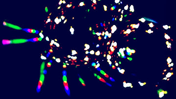 ALL ESSENTIAL AMINO ACIDS THE BODY NEEDS | MAGNETO-DIELECTRIC FIELD