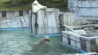 お立ち台でまどろむララ 遊ぶイコロとキロル
