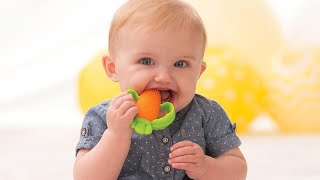 Lil' Nibbles Textured Silicone Teether -Sensory Exploration and Teething Relief with Easy to Hold