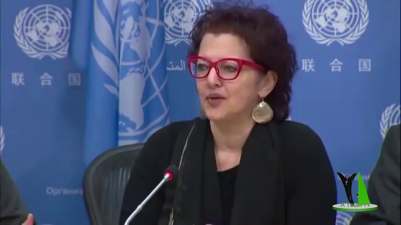 Syria Sovereignty & Peace, Press Conference United Nation