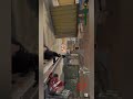 Zombie war 9_1