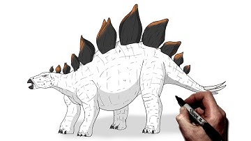 How To Draw Stegosaurus | Step By Step |