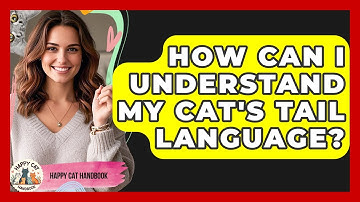 How Can I Understand My Cat
