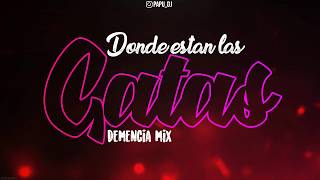 Donde Estan Las Gatas - LOS CANGRIS - PAPU DJ (Demencia Mix2)