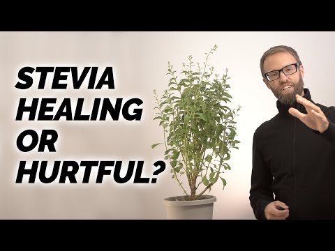 Video: Stevia - Both Sweetness And A Healer