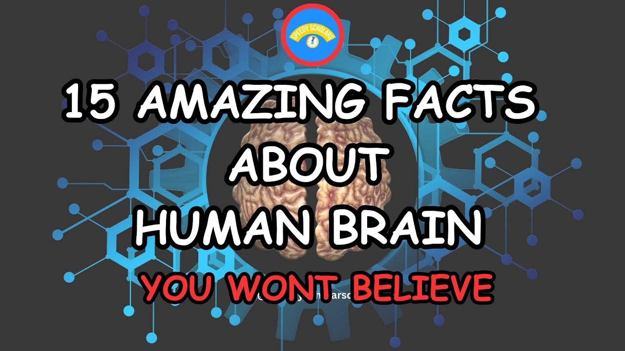 🧠🧠 Mind-Blowing Facts About the Human Brain You Need to Know! 🧠🧠 - YouTube