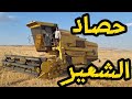 بداية موسم الحصاد بداية موسم الحصاد