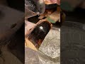 Metal Meltdown: Watch the Transformation Unfold! 🔥✨