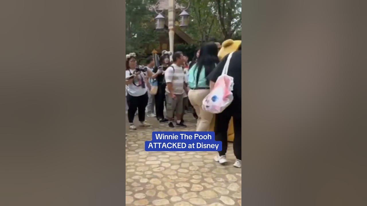 Winnie The Pooh ATTACKED at Disney 😳