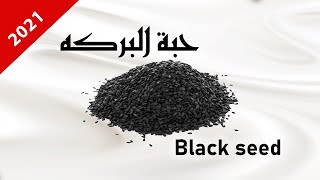 Blackseed  فوائد عظيمة لحبة البركه واستخدامها في الطب البديل والطب الشعبي