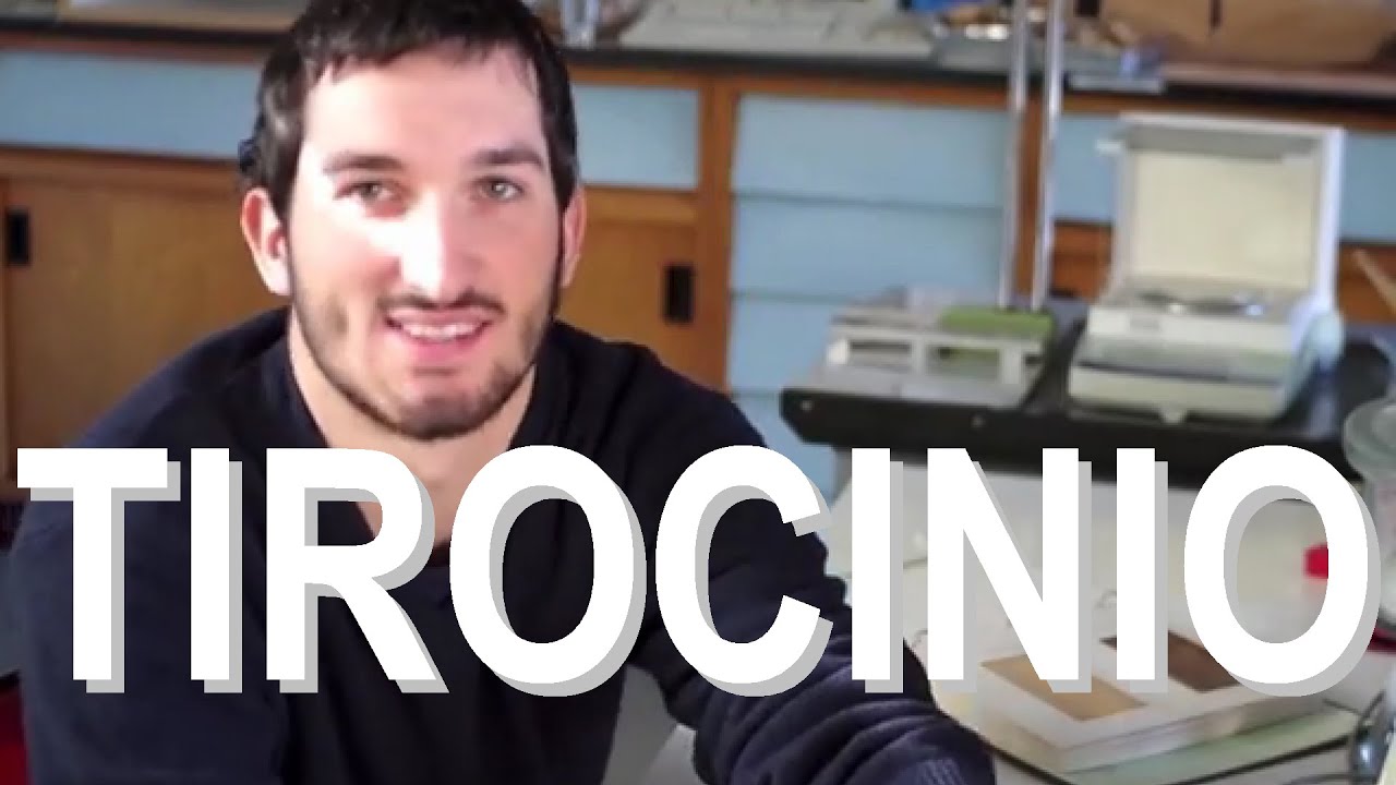 Tirocinio presso CNR IVALSA San Michele all'Adige