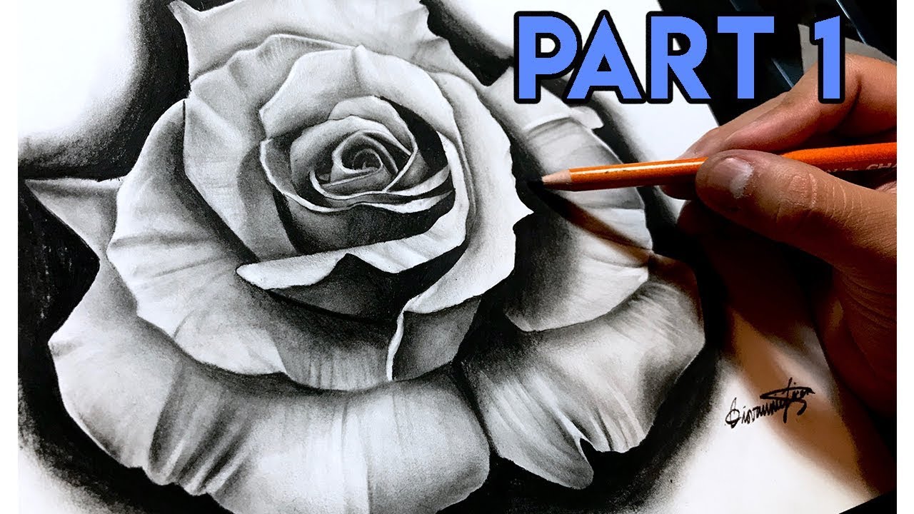 How To Draw A Rose In Pencil Draw A Realistic Rose Step by Step Drawing  Guide by DuskEyes969  DragoArt