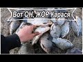 Вот это Жор Карася! Крупный Карась на поплавок весной! Рыбалка 2020