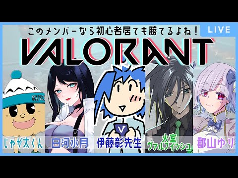 🔴【VALORANT】豪華メンバーとアンレコラボ！緊張MAXだけど白河のちょっと良いとこ見せたい🐻【ヴァロラント】 - Live Stream