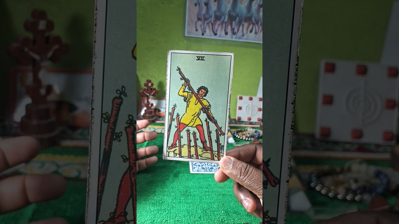 +919289911034 പ്രപഞ്ചശക്തി നൽകുന്ന മെസ്സേജ് #tarot #shortsviral #family