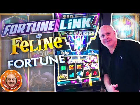 4 HUGE JACKPOT$ on Fortune Link! 🙀Feline Fortune BONUS WINS!
