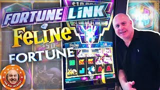 4 HUGE JACKPOT$ on Fortune Link! 🙀Feline Fortune BONUS WINS!
