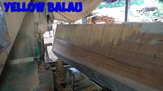 Et Proces Van Het Zagen Van Geel Balauhout Of Bengkiraihout In Een Zagerij