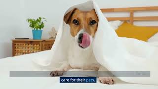 Pet Assistance For Low Income Families