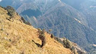 Uttrakhand Top Wintertrekking Spots Pankhu Top Naagthal Topjaikuinidaruttrakhand