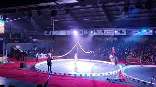 Shrine circus 2022