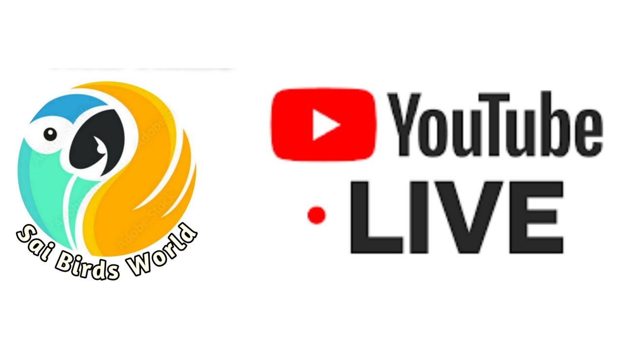 Live Now - YouTube