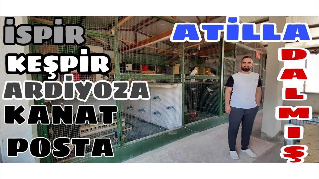 İSPİR, ARDİYOZA, KANAT POSTA, KARAÇİL KEŞPİR, BURSA ATİLLA DALMIŞ KÜMESLERİ