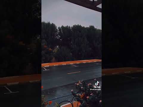 مابدي قلك شو بني