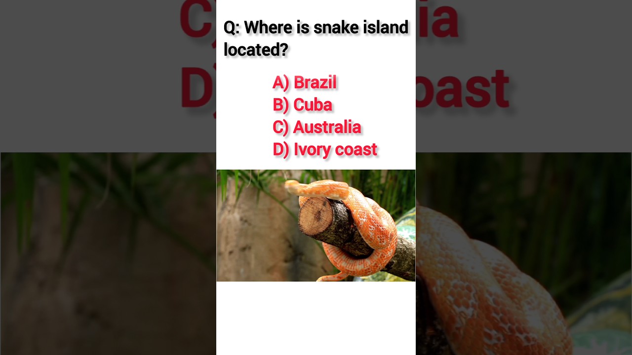 Snake Island| 
