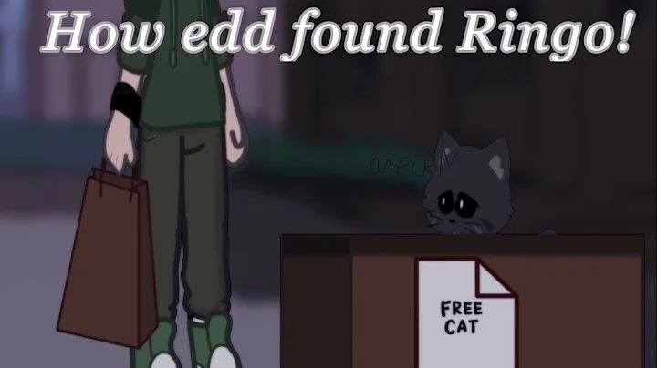 How edd found Ringo! [[my Au]]