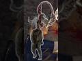 Трофей Защити свои глаза! в игре Resident evil 4 remake #playstationtrophy