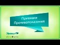 Противопоказания к проведению прививок