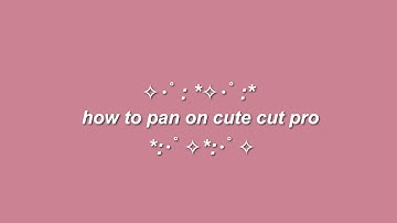 panning : cute cut pro