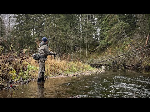 Video: Broccoli Roll Na Trout