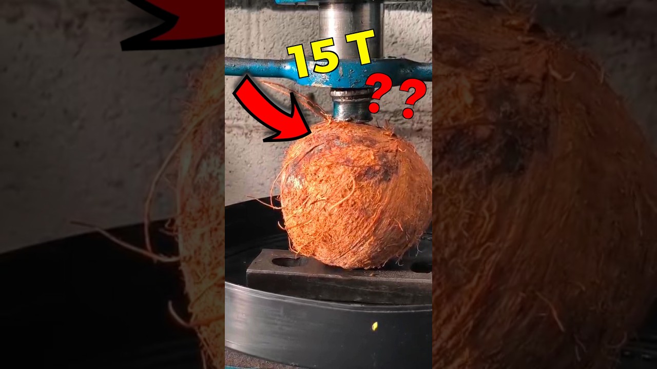 🥥Coco Vs Prensa Hidráulica (15 T) o que vai acontecer?