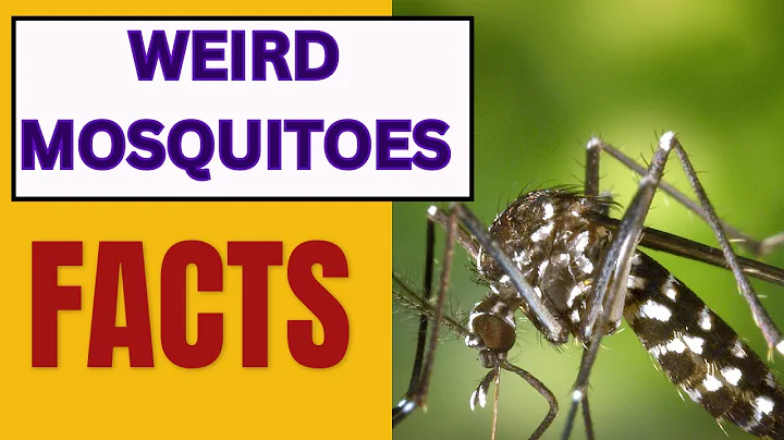 Weird Facts about Mosquitoes | Mosquitoes Facts | 5 Facts About Mosquitoes | FunFactsaboutMosquitoes