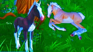 New Color Changing Horses + Map Area Star Stable Online