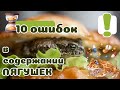 ТОП 10 ошибок в содержании ЛЯГУШЕК. Не делайте ЭТО!