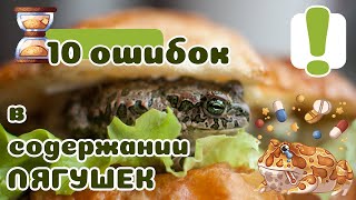 ТОП 10 ошибок в содержании ЛЯГУШЕК. Не делайте ЭТО!