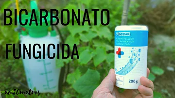 ¿Qué plantas se benefician del bicarbonato?