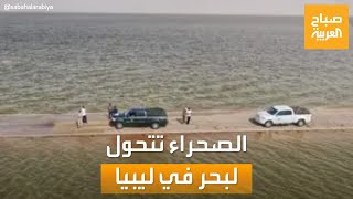 حديث السوشال | شاب يقتحم المسرح لمعانقة فنان العرب محمد عبده.. والصحراء تتحول لبحر في ليبيا