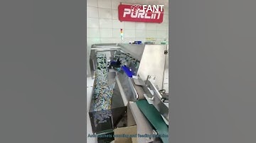 Automatic sachets sticks counting and feeding machine