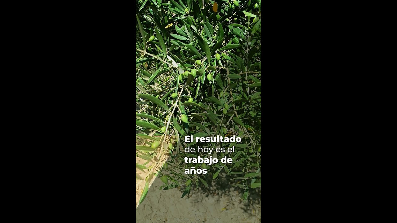 EL RESULTADO DE HOY ES EL TRABAJO DE AÑOS