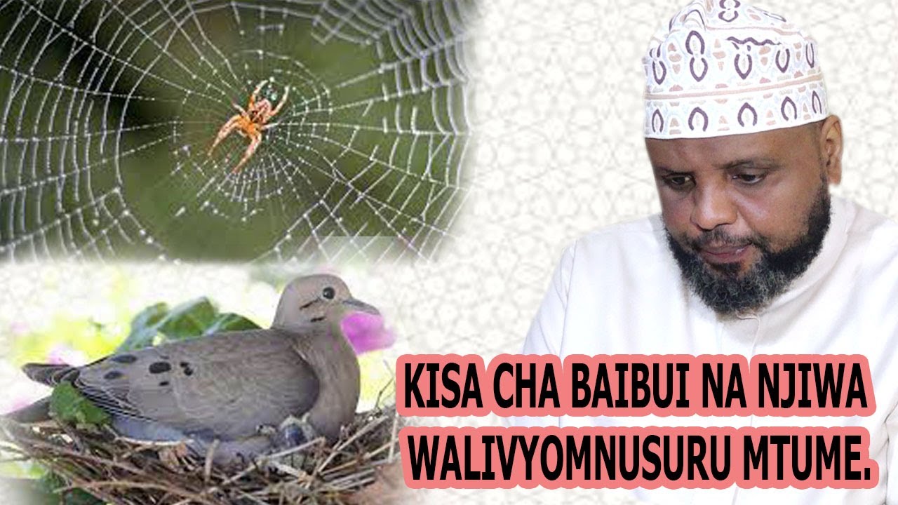 KISA CHA BAIBUI NA NJIWA WALIVYOMNUSURU MTUME KUULIWA// SHEIKH OTHMAN MAALIM